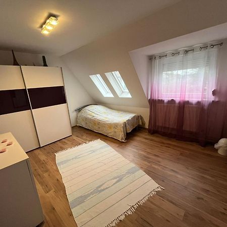 Schickes 110Qm Ferienhaus In Naehe Vw, Messe,Dez Und Orangerie Kassel Dış mekan fotoğraf
